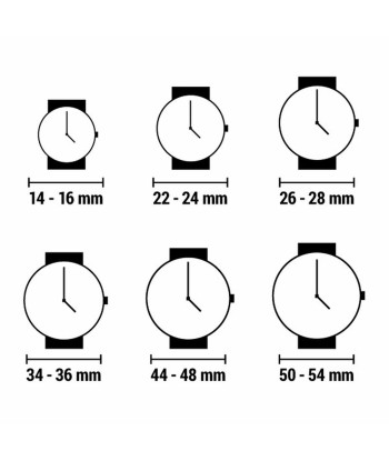 Montre Femme Lorus RG234QX4 de l' environnement