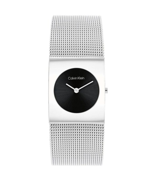 Montre Homme Calvin Klein 25100061 en ligne