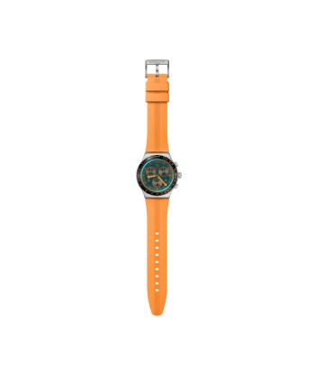 Montre Homme Swatch YVS529 Amélioration de cerveau avec