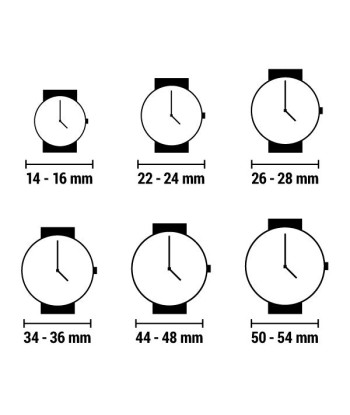 Montre Homme Police (Ø 42 mm) Economisez 