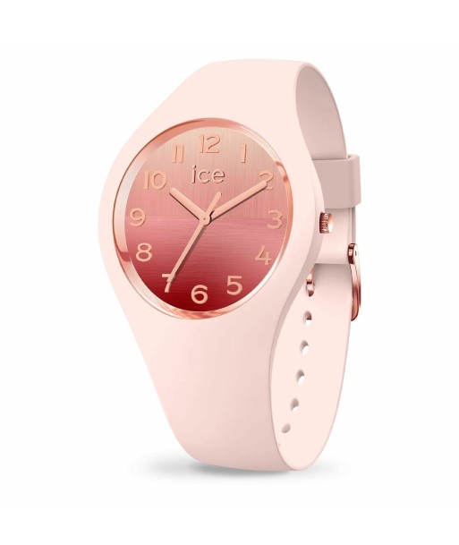 Montre Femme Ice 021361 (Ø 34 mm) la chaussure