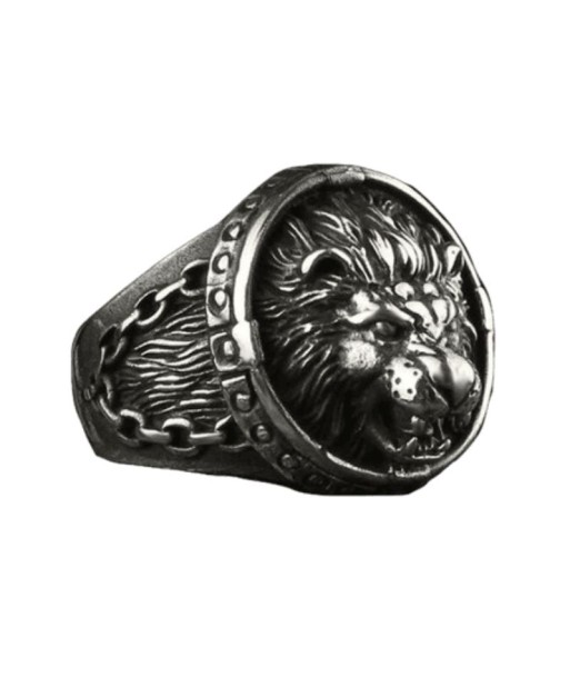 Bague Homme Lion Argent Economisez 