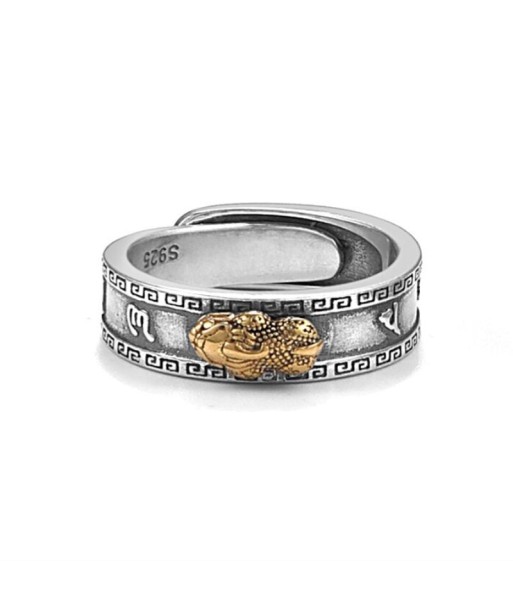 Bague Feng Shui Pixiu Mantra JUSQU'A -70%! 