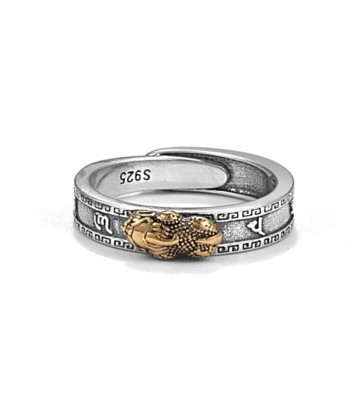 Bague Feng Shui Pixiu Mantra JUSQU'A -70%! 